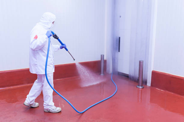 Best Playground Equipment Cleaning  in Clintwood, VA