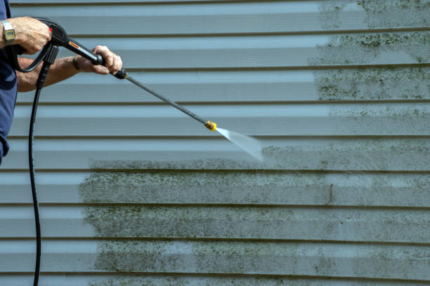 Best Soft Washing  in Clintwood, VA